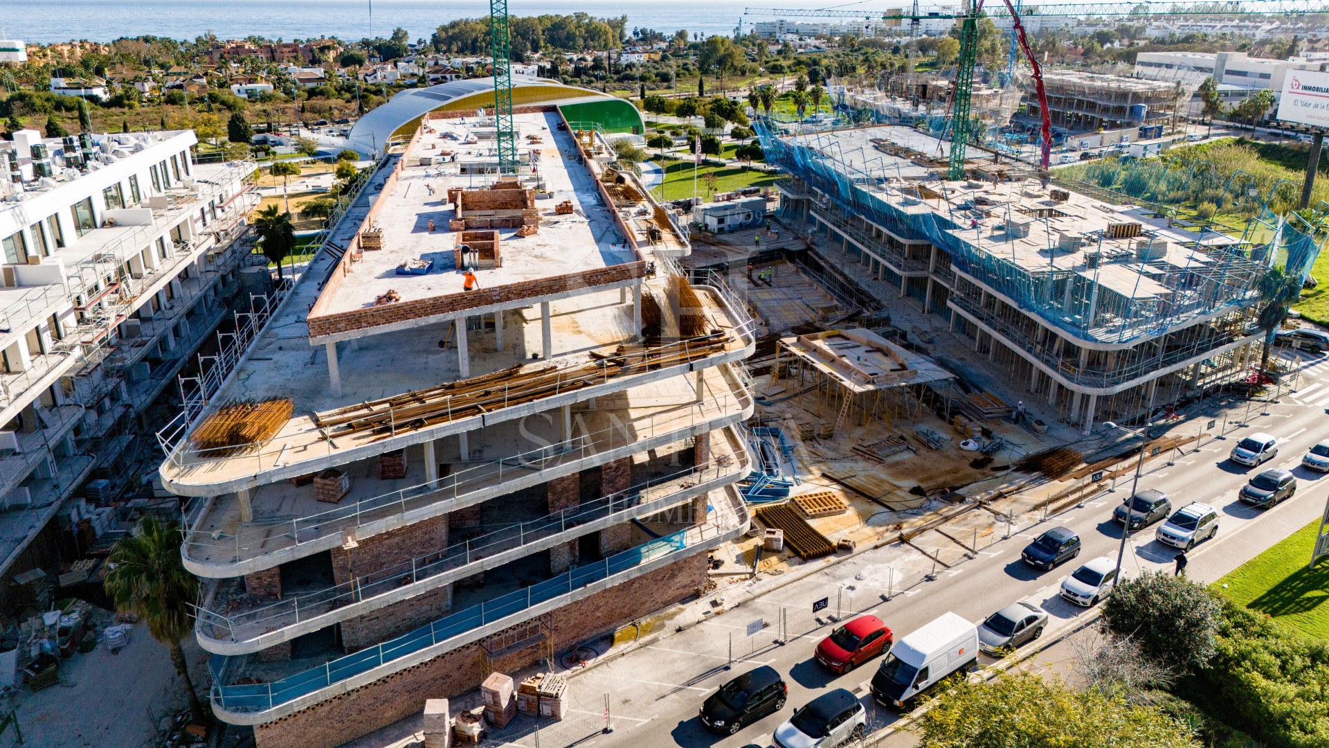 SALVIA II — imagen 17