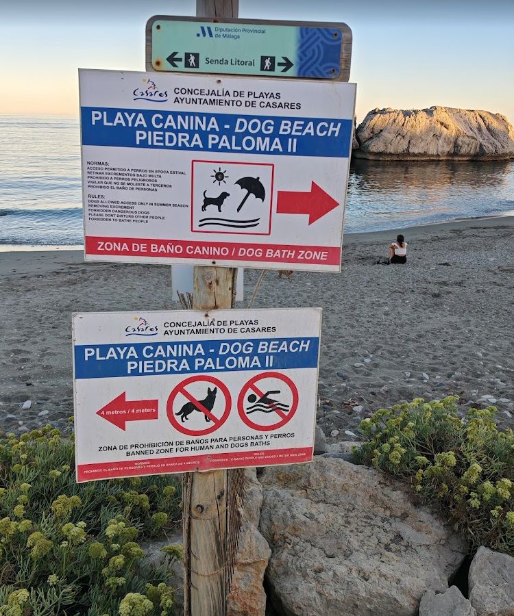Hundefreundliche Costa del Sol: Alle Hundestrände von Casares bis Marbella