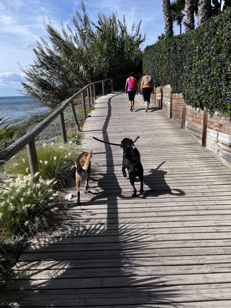 Senda Litoral: Der Küstenpfad von Manilva bis Marbella, Stadt für Stadt