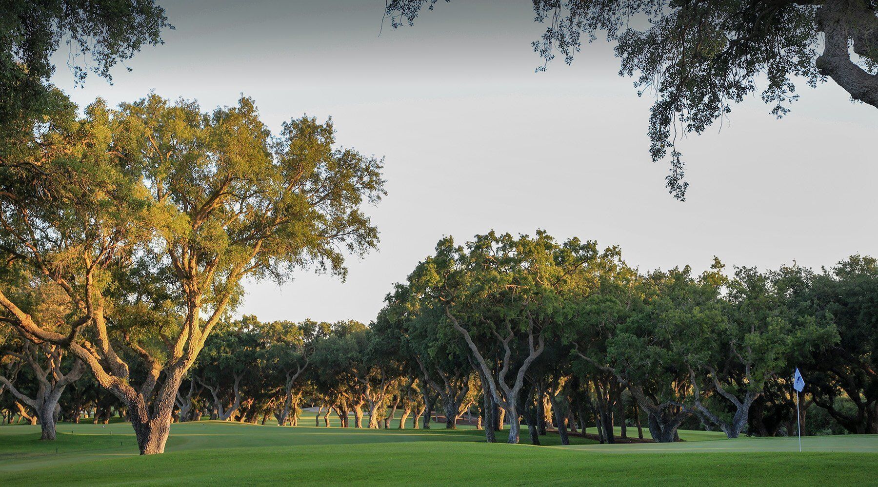 Pole golfowe Real Club Valderrama